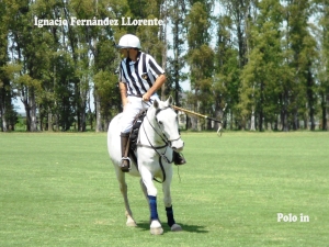 Ignacio Fernandez Llorente arbitro de Polo _8