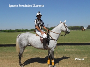 Ignacio Fernandez Llorente Polo Referee_11